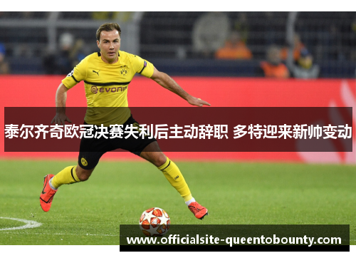 泰尔齐奇欧冠决赛失利后主动辞职 多特迎来新帅变动